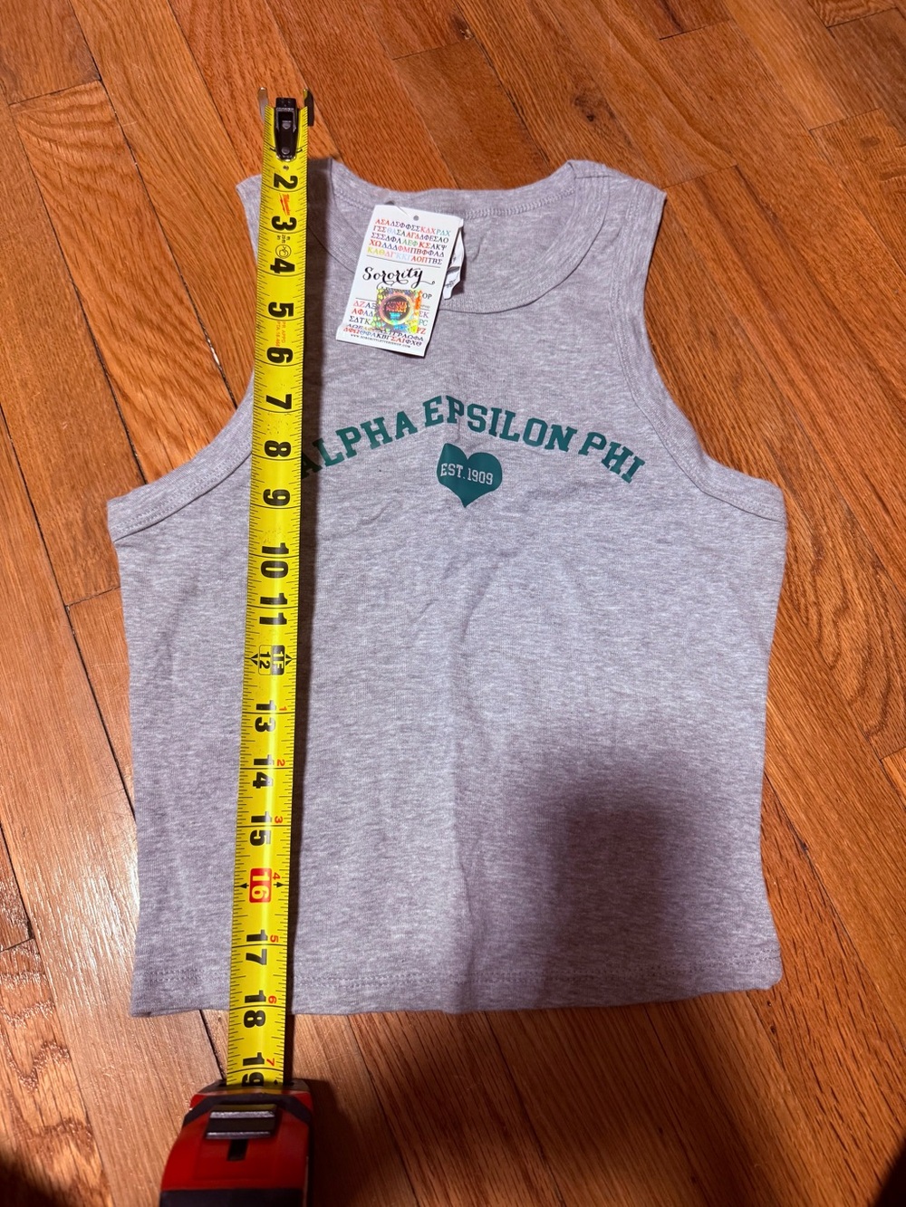 NWT Gray Alpha Epsilon Phi Graphic Tank Top